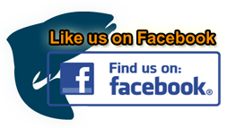 Like Us on Facebook - Delta Dawn Charters